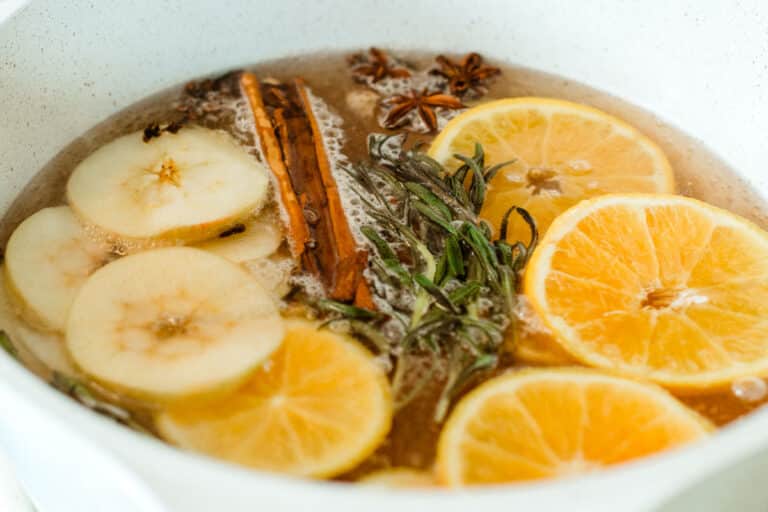 9 Fall Simmer Pot Recipes (Crock Pot Potpourri)