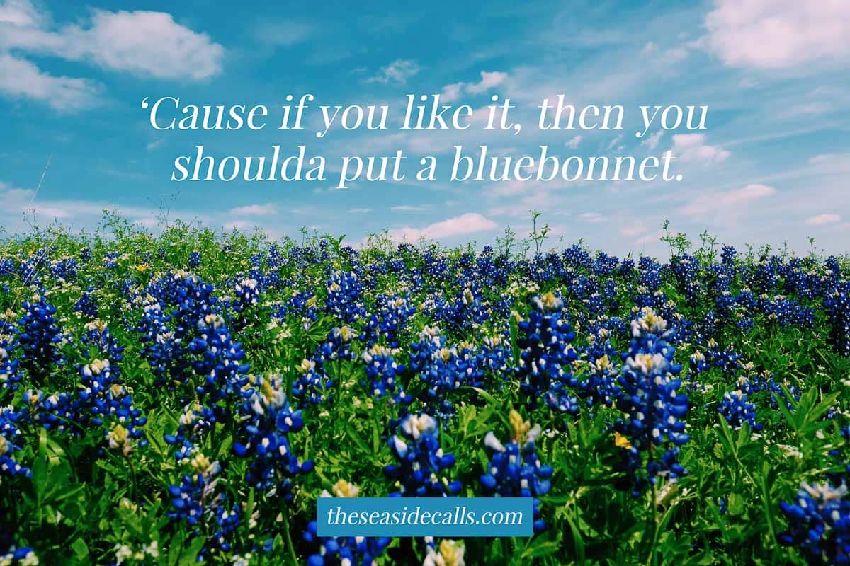 cute texas quote with photo of bluebonnets