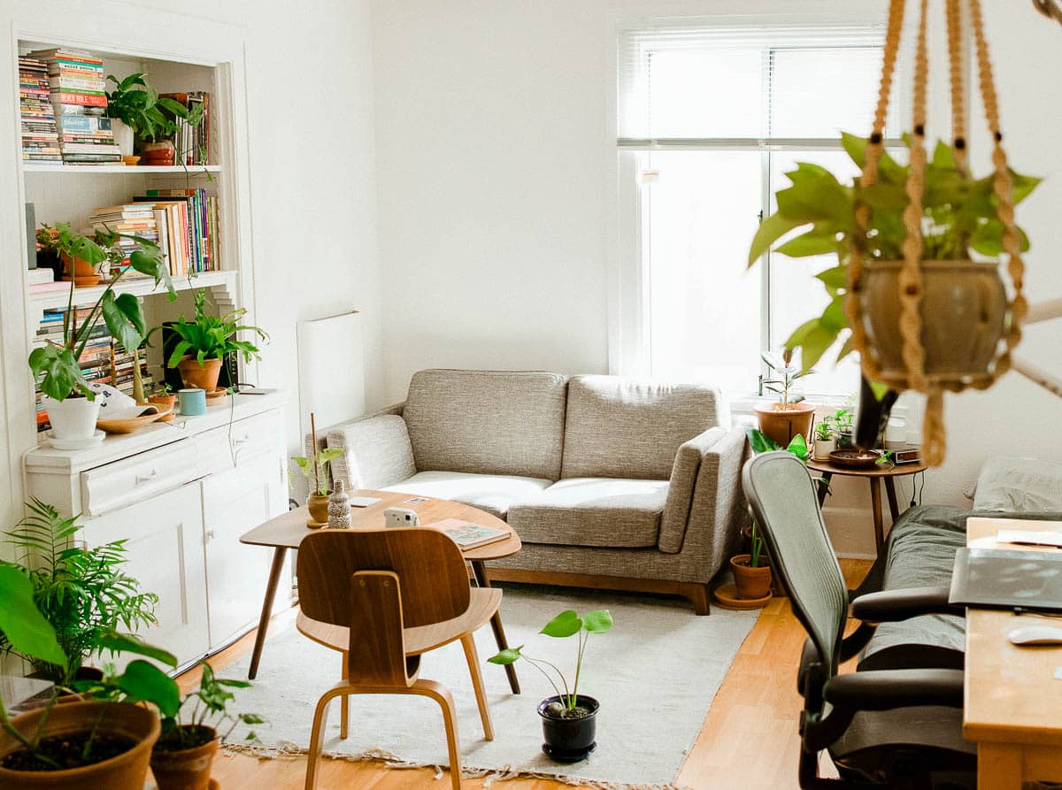 apartment full of plants for homesteading