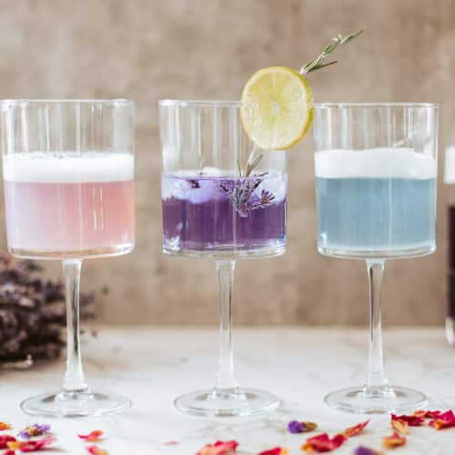 gin fizz, gin & tonic, and arctic puffin