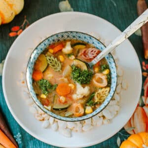 10 vegetable soup in bowl surrounded by pumpkins and carrots