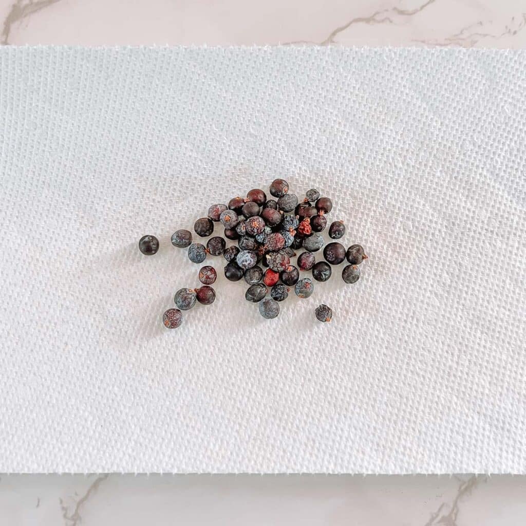 juniper berries on paper towel