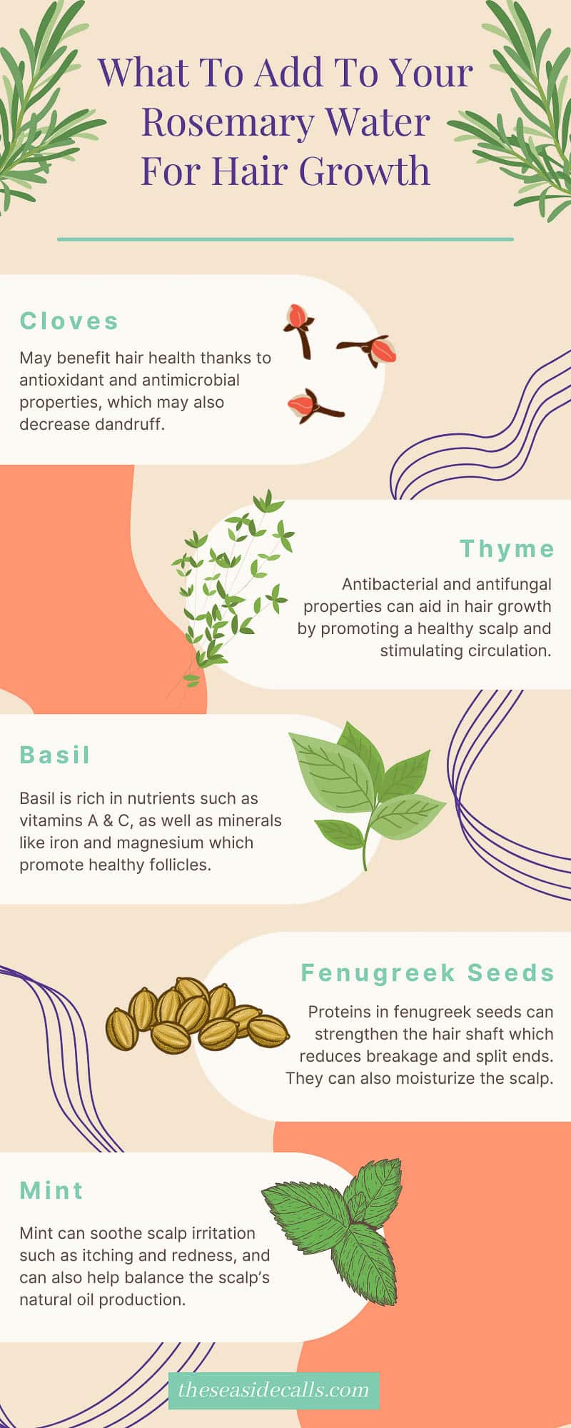 infographic showing best herbs to include in rosemary water for hair growth (cloves, thyme, basil, fenugreek, mint)