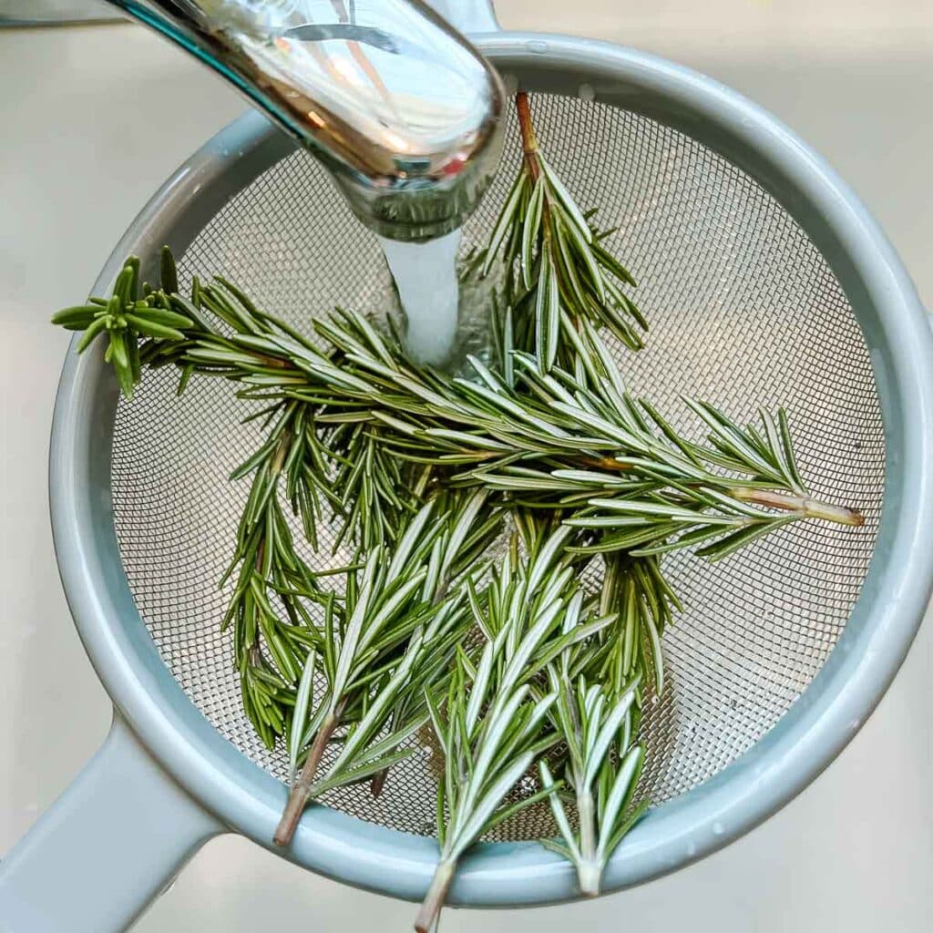 fresh rosemary in strainer being rinsed under faucet