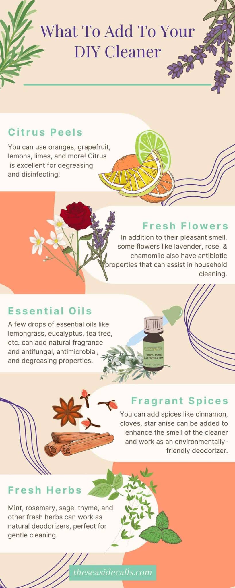 infographic about what to put in natural cleanser