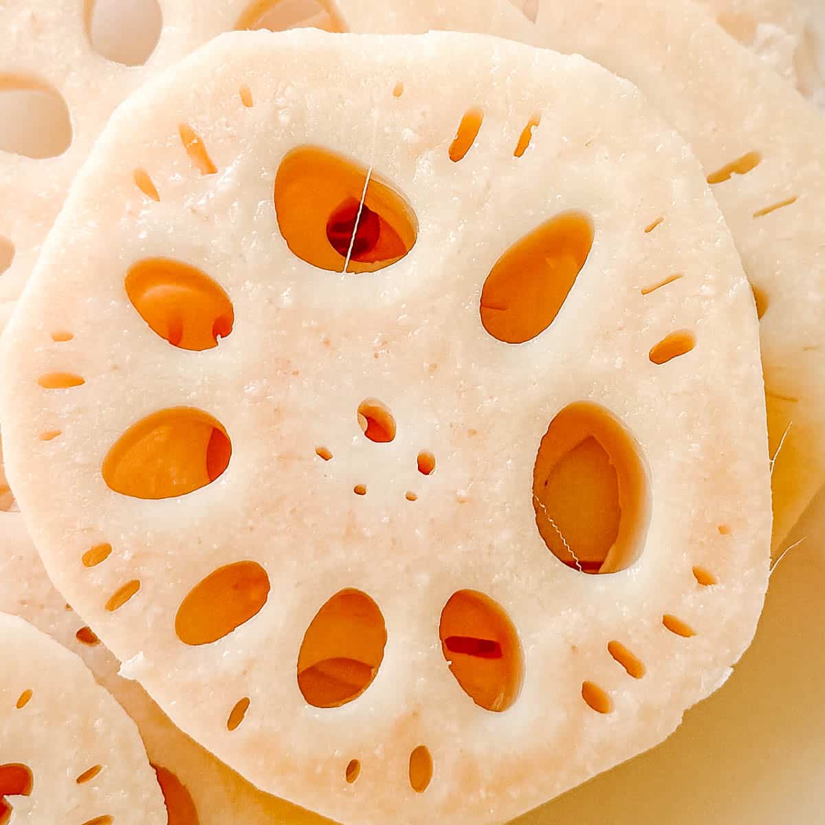 lotus root cross section showing natural silk-like fibers.