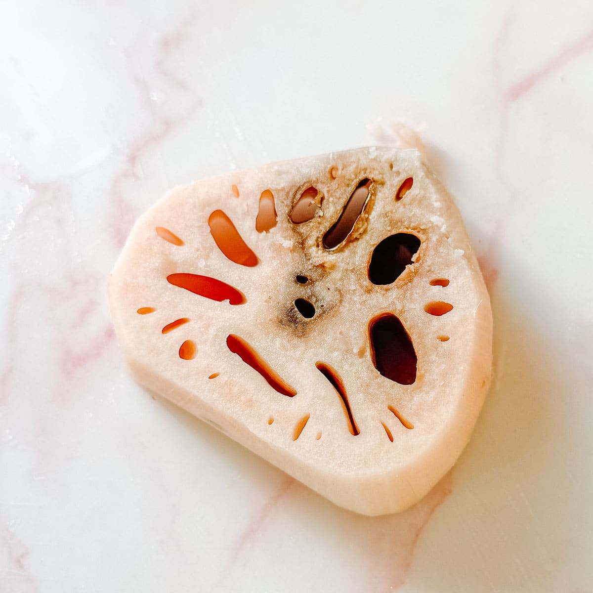 cross section of lotus root with some discoloration from oxidization or trapped soil.